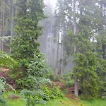 Daire Deer's At Elit Pamporovo