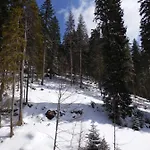 Deer's At Elit *
