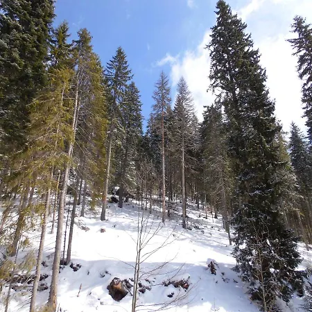 Deer's At Elit * Pamporovo