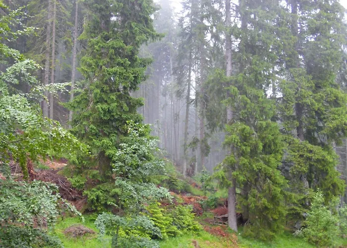 Apartment Deer's At Elit Pamporovo