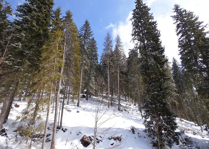 Deer's At Elit * Pamporovo